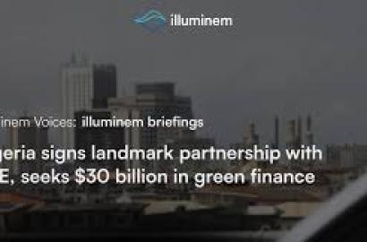 Nigeria Signs Landmark Partnership With UAE, Seeks $30 Billion In Green Finance